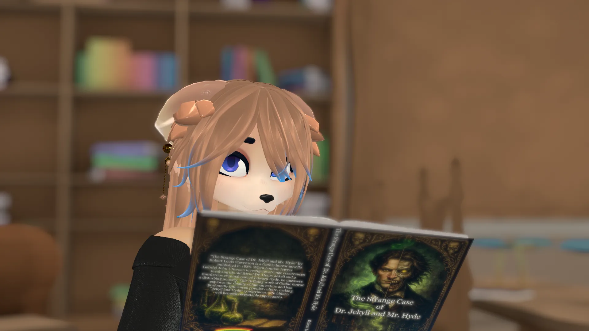 Rainbow Library image